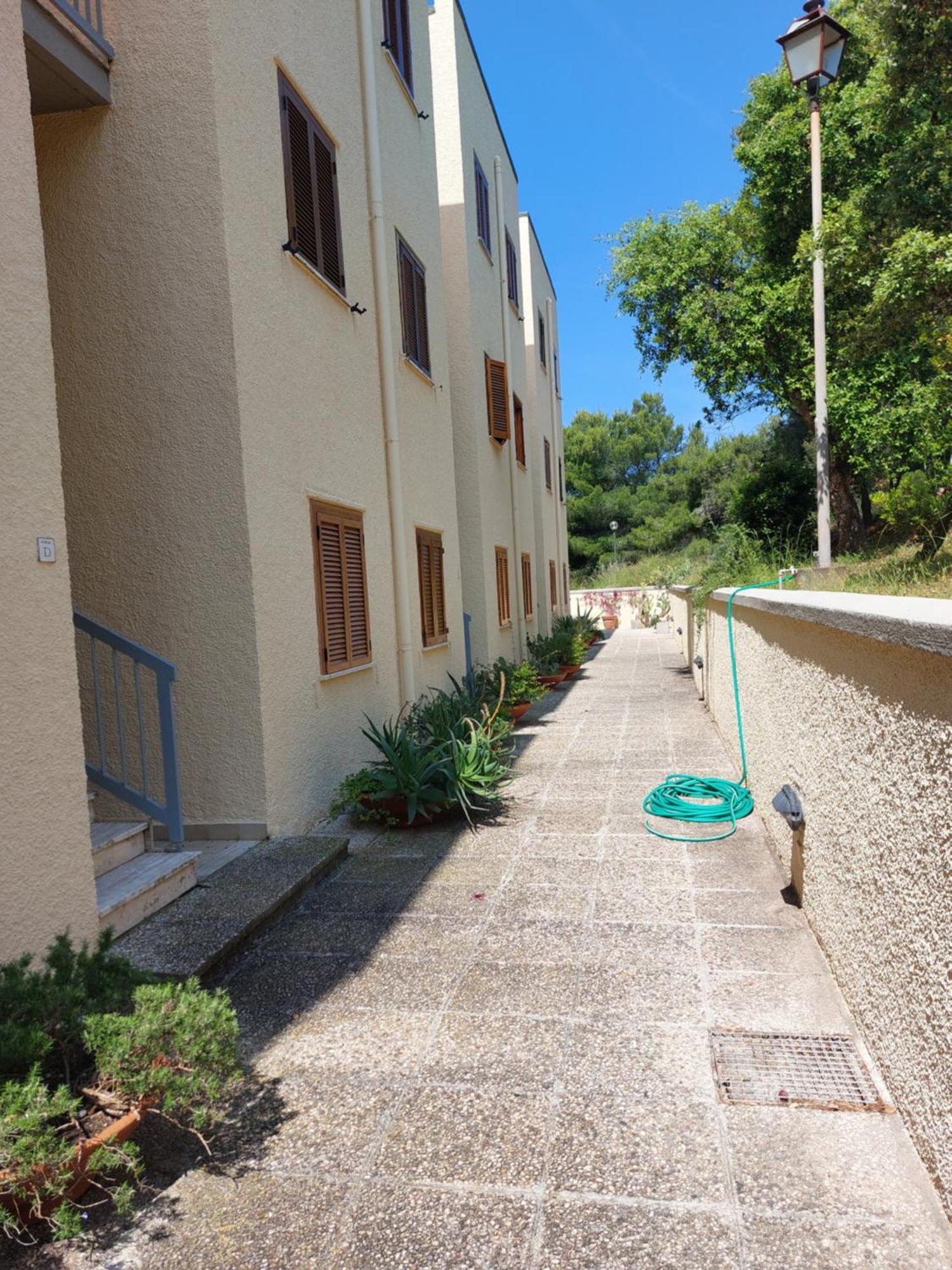 La Mia Casa A Talamone Lejlighed Eksteriør billede